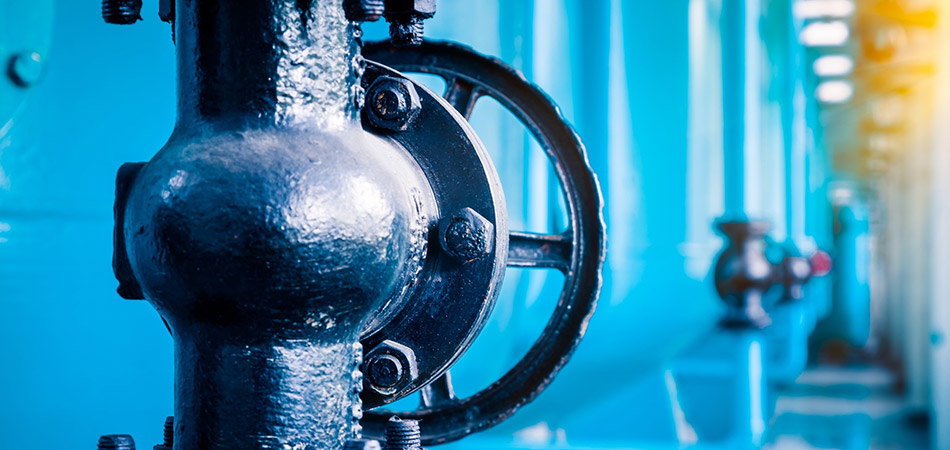 Wenzhou Wala Trading Co