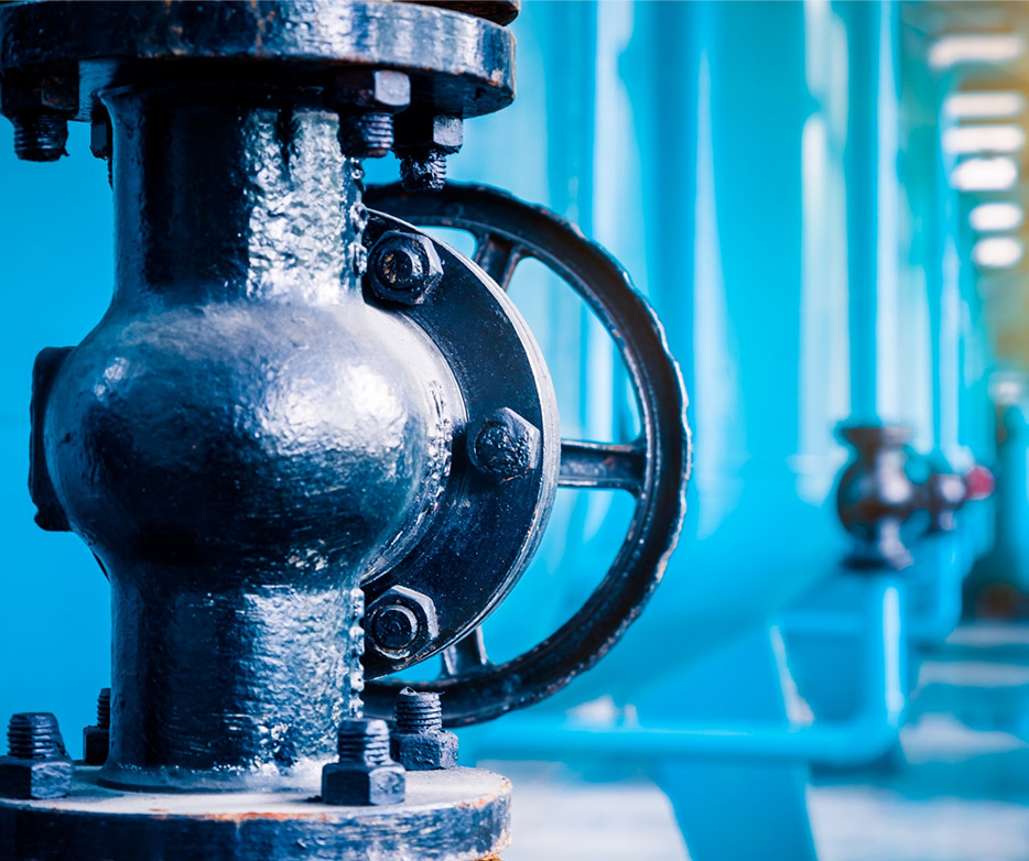 Wenzhou Wala 贸易公司